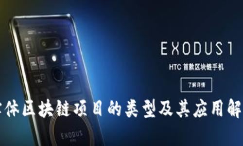 实体区块链项目的类型及其应用解析