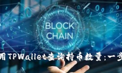 如何使用TPWallet查询持币数量：一步步指南