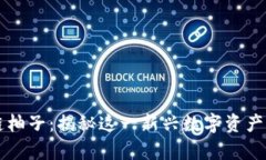 区块链柚子：揭秘这一新